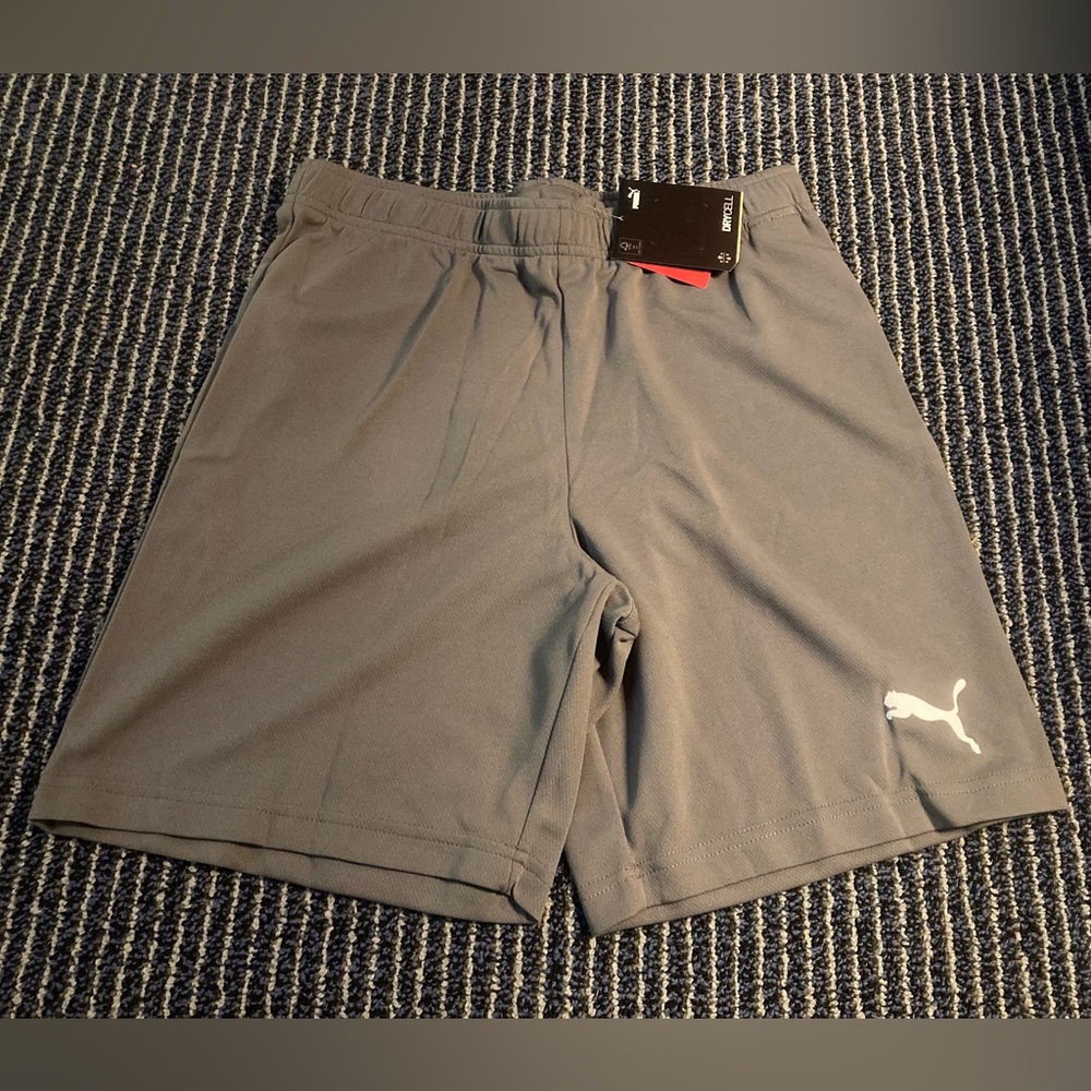 NWT Puma Men's Team Rise Soccer football Futbol Shorts Grey Medium